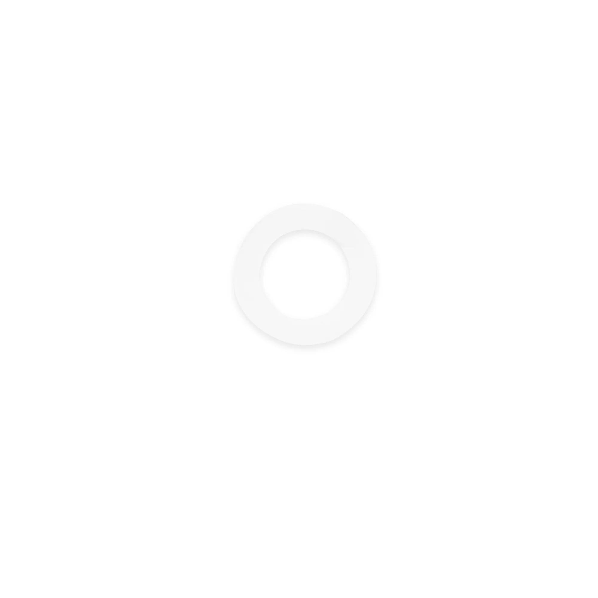 Spare Beverage Air Pump Washer - Image 2